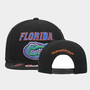 Unisex Florida Gators Black Front Loaded HWC Snapback Hat 831263-867